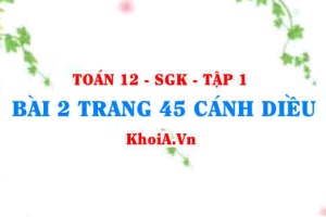 Bài 2 trang 45 Toán 12 tập 1 Cánh Diều